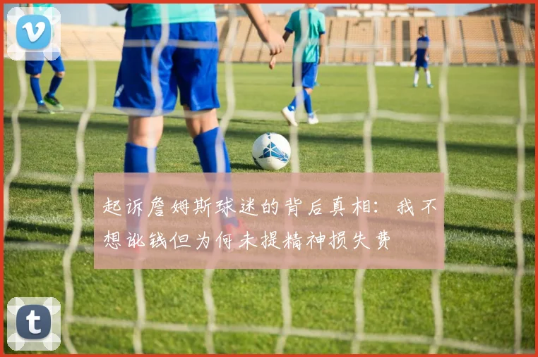 起诉詹姆斯球迷的背后真相：我不想讹钱但为何未提精神损失费