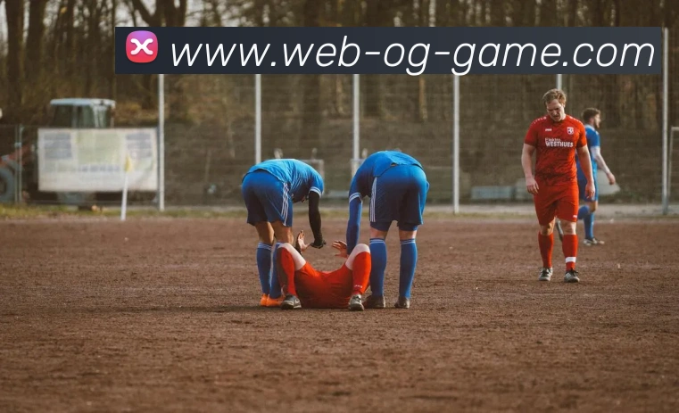 多媒体互动体验